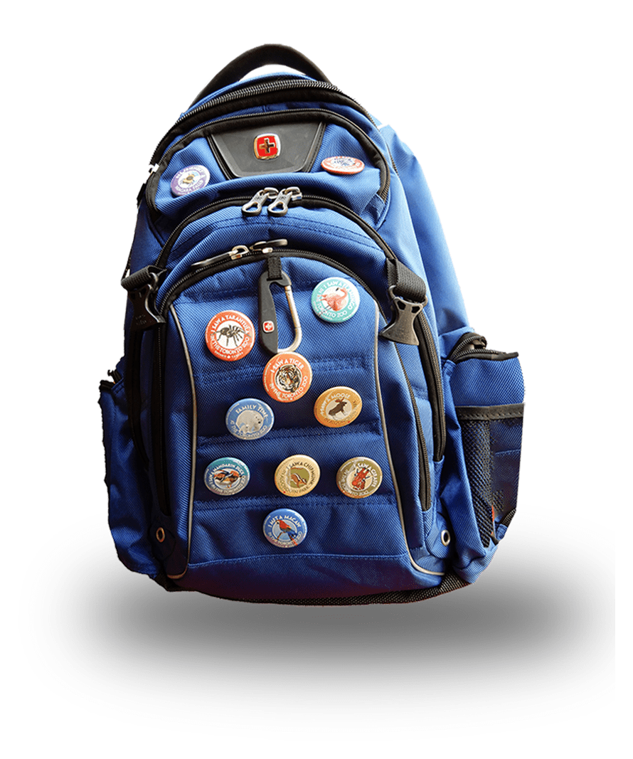 A backpack with many buttons on it