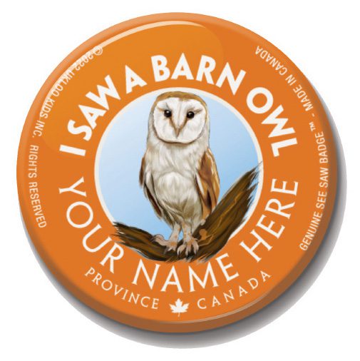 A button with an owl on it and the words " i saw a barn owl "