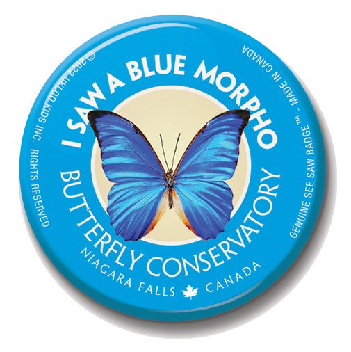 A blue butterfly is shown on the front of this button.