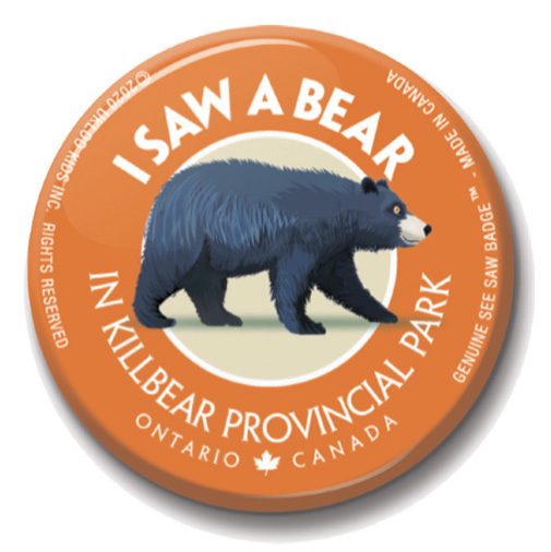 A button with an image of a black bear on it.