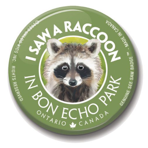 A button with a picture of a raccoon on it.
