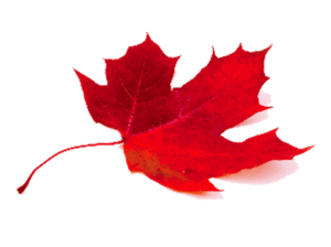 A red maple leaf is shown on the green background.