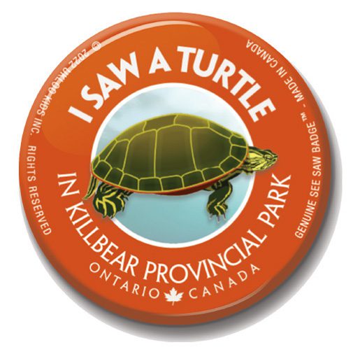 A button with an image of a turtle on it.